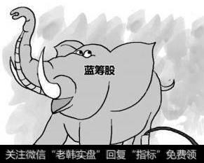 蓝筹股