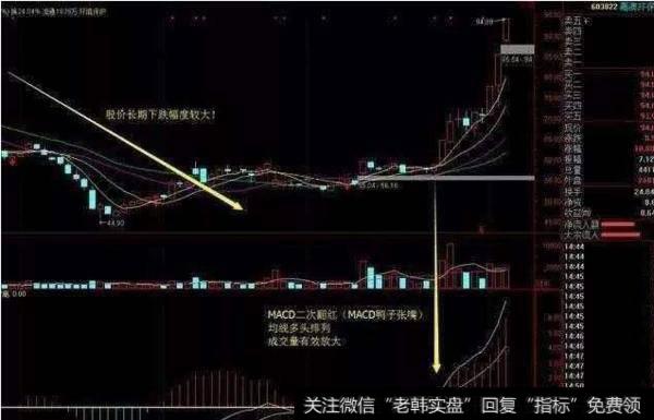 大智慧反弹<a href='/chaodi/'>抄底</a>主图指标